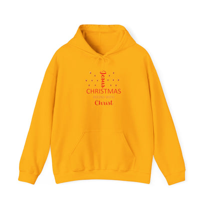 Christmas Blooming With Christ Hoodie