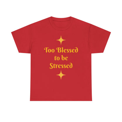 Christian Tee — "Too Blessed to be Stressed" / "Follow me while I follow Jesus"