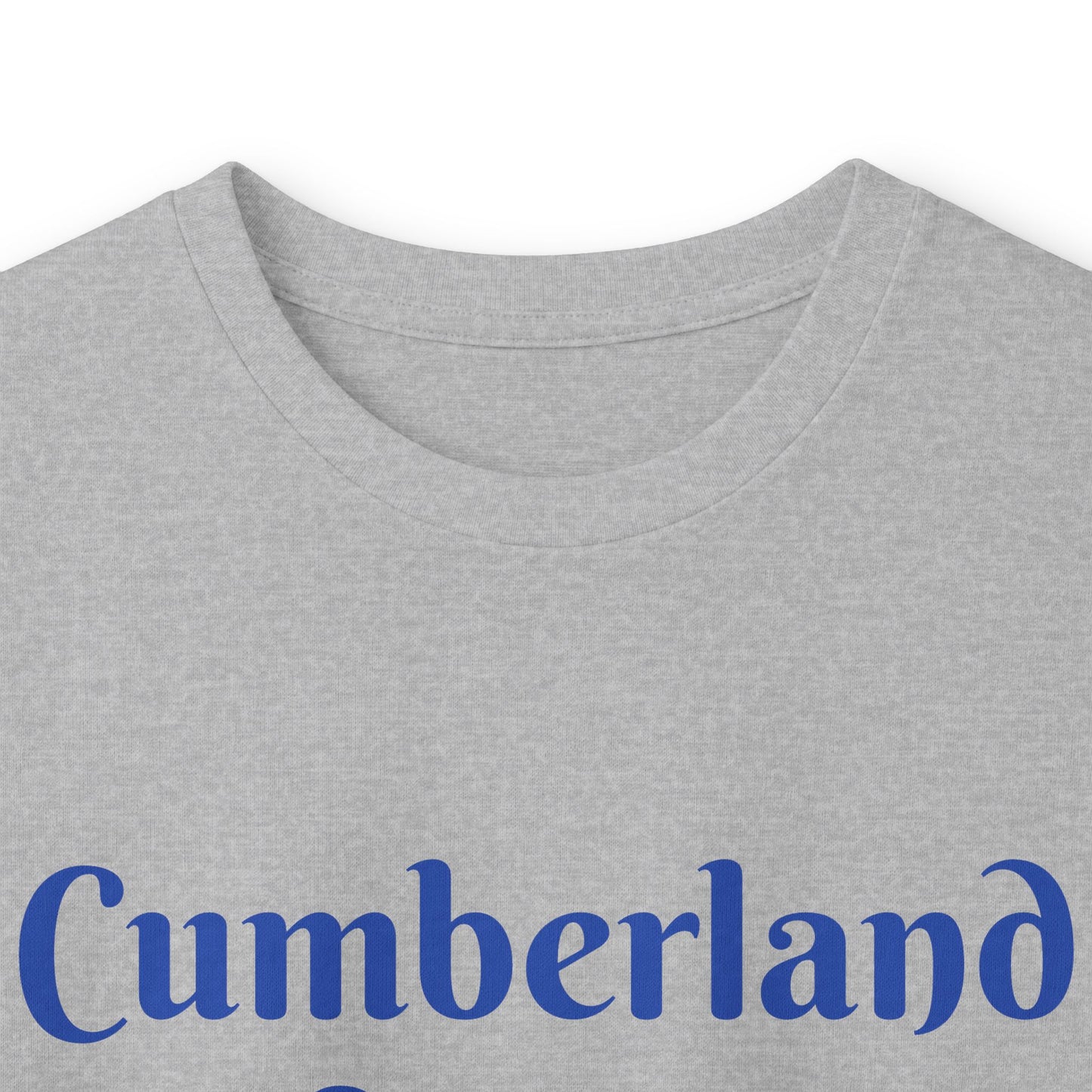 School Bus Transportation Long Sleeve Tee — Cumberland County Public Schools