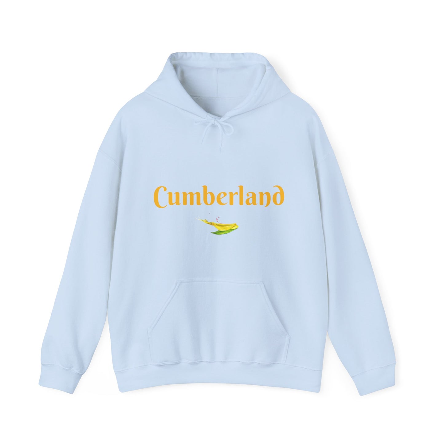 Cumberland County Unisex Heavy Blend™ Hooded Sweatshirt