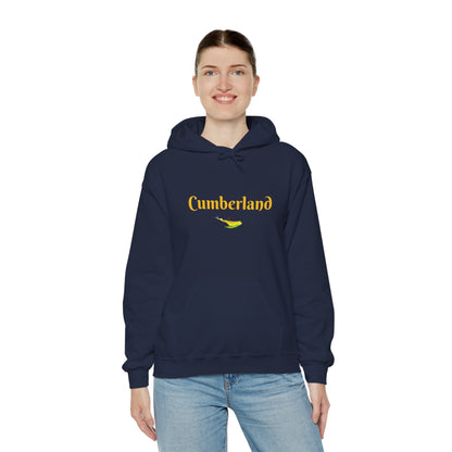 Cumberland County Unisex Heavy Blend™ Hooded Sweatshirt