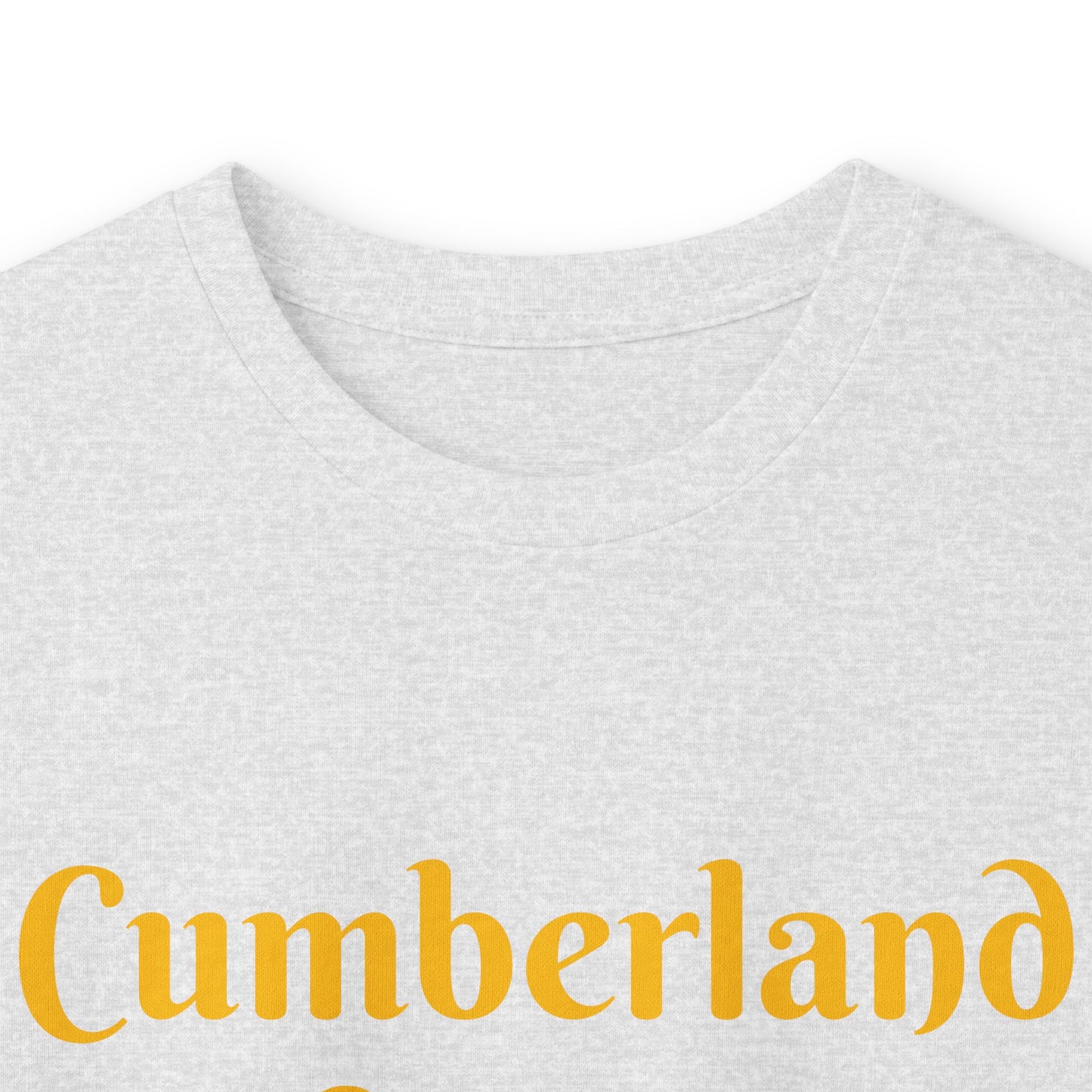 Cumberland County Public Schools Transportation Long Sleeve Tee — School Bus Crew Shirt