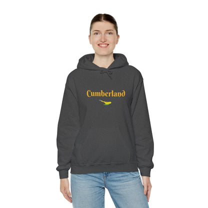 Cumberland County Unisex Heavy Blend™ Hooded Sweatshirt