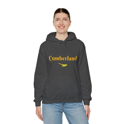 Cumberland County Unisex Heavy Blend™ Hooded Sweatshirt