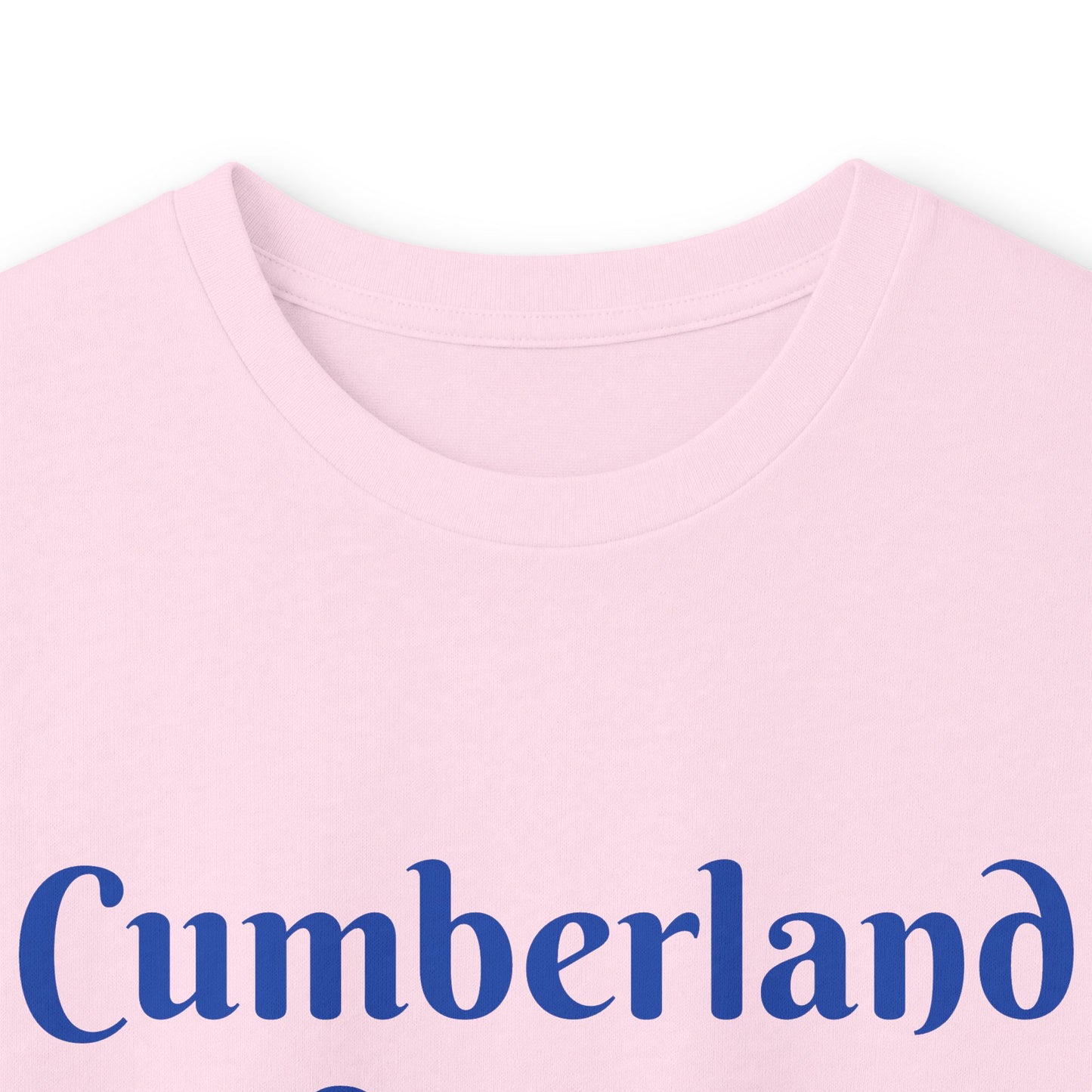 School Bus Transportation Long Sleeve Tee — Cumberland County Public Schools