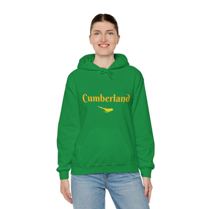 Cumberland County Unisex Heavy Blend™ Hooded Sweatshirt