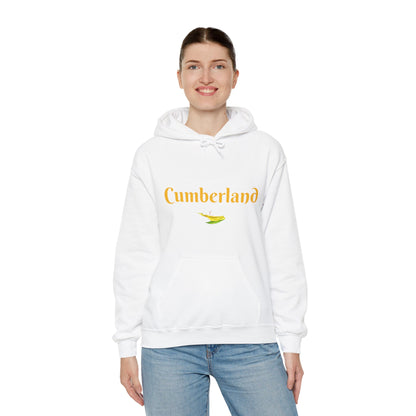 Cumberland County Unisex Heavy Blend™ Hooded Sweatshirt