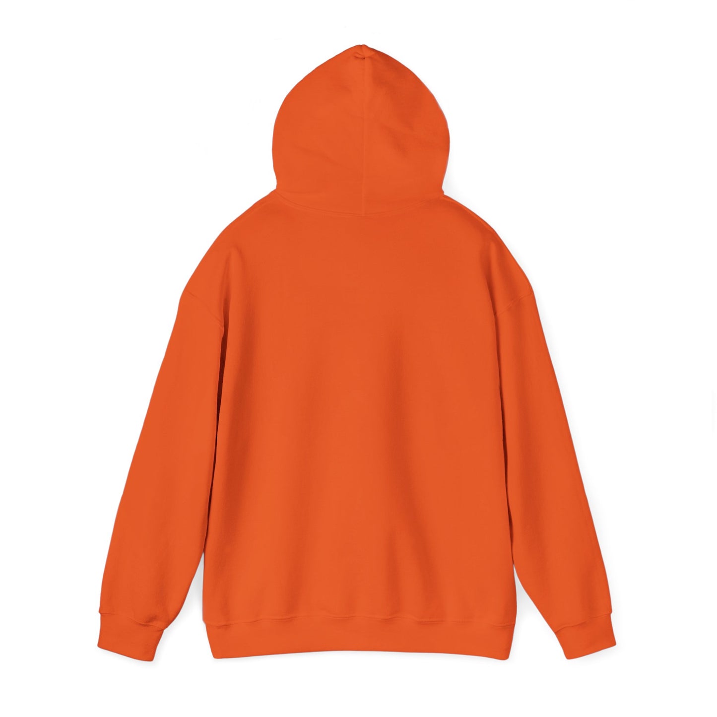 It's a Good Day To Have A Great Day Hooded Sweatshirt