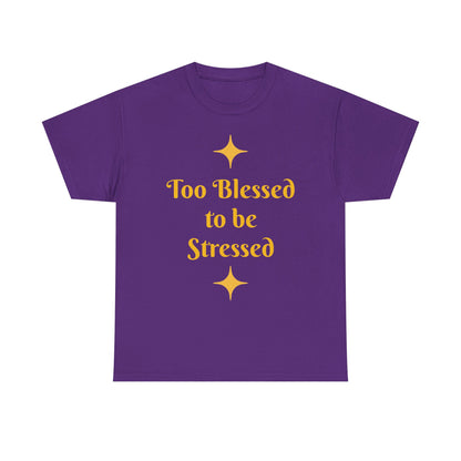 Christian Tee — "Too Blessed to be Stressed" / "Follow me while I follow Jesus"