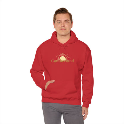 Cumberland Unisex Heavy Blend™ Hooded Sweatshirt