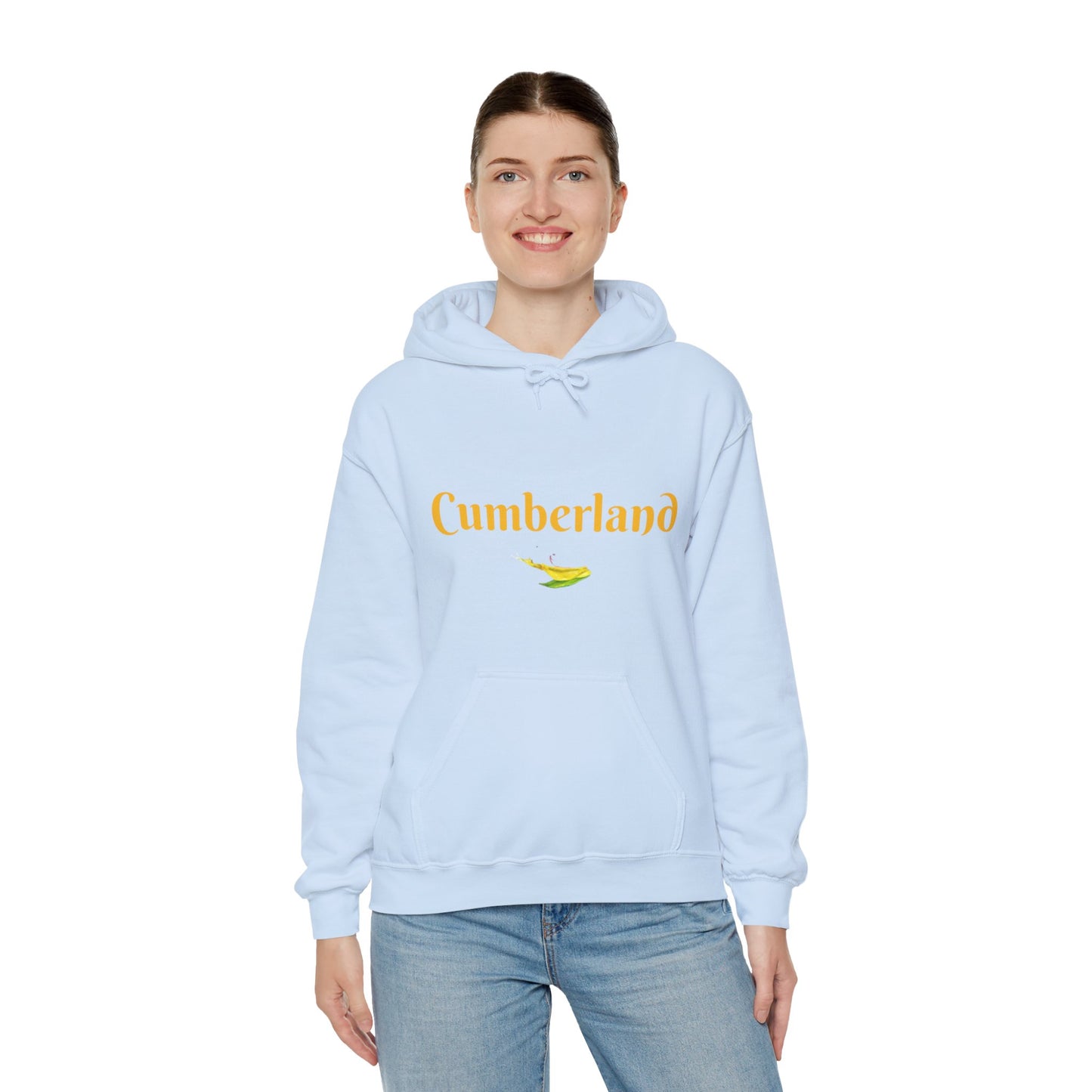 Cumberland County Unisex Heavy Blend™ Hooded Sweatshirt