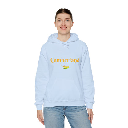 Cumberland County Unisex Heavy Blend™ Hooded Sweatshirt