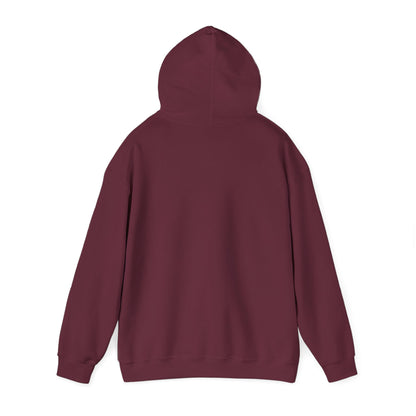 It's A Good Day Hooded Sweatshirt