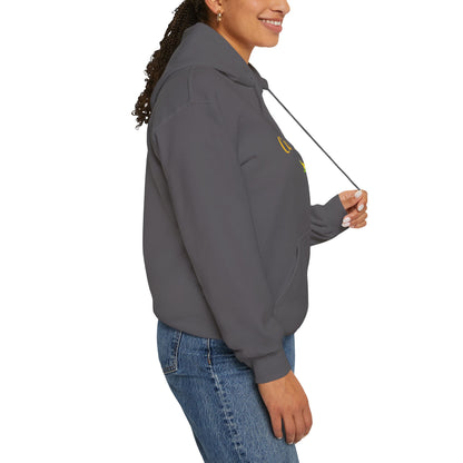 Cumberland County Unisex Heavy Blend™ Hooded Sweatshirt
