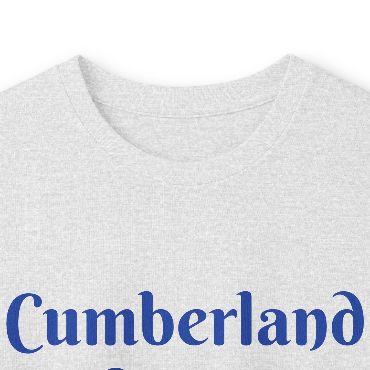 School Bus Transportation Long Sleeve Tee — Cumberland County Public Schools
