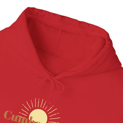 Cumberland Unisex Heavy Blend™ Hooded Sweatshirt