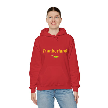 Cumberland County Unisex Heavy Blend™ Hooded Sweatshirt