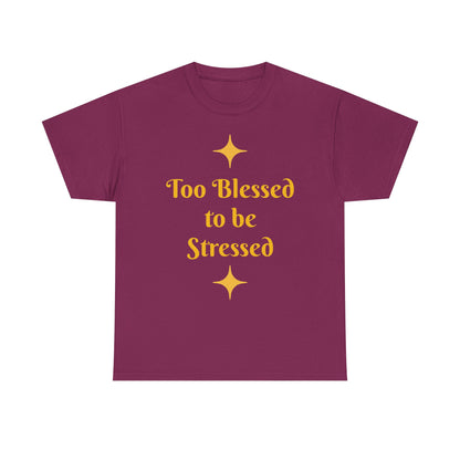 Christian Tee — "Too Blessed to be Stressed" / "Follow me while I follow Jesus"