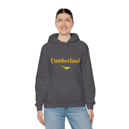 Cumberland County Unisex Heavy Blend™ Hooded Sweatshirt