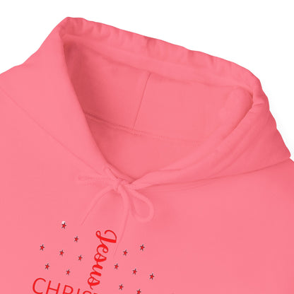 Christmas Blooming With Christ Hoodie