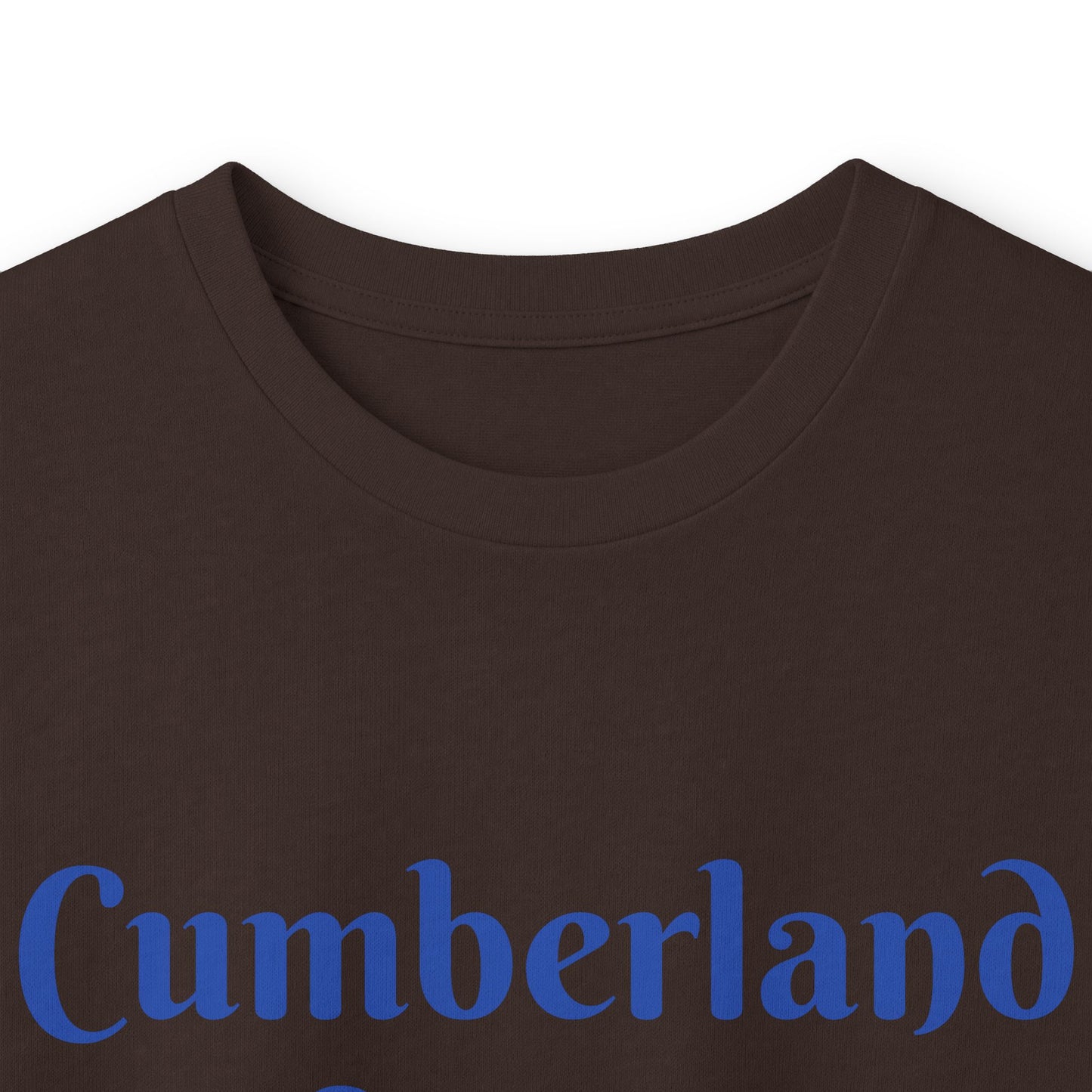 School Bus Transportation Long Sleeve Tee — Cumberland County Public Schools