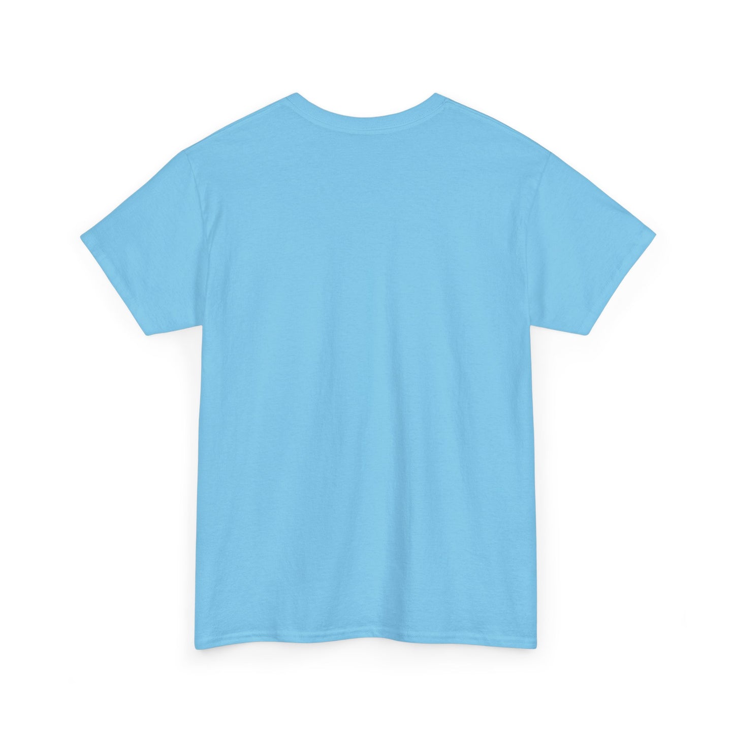 Christian Lion T-Shirt — "I Would Rather Stand with God" Faith Graphic Tee
